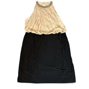Plus Size Cream and Black Beaded Jewel Scoop Neck Dress 22W